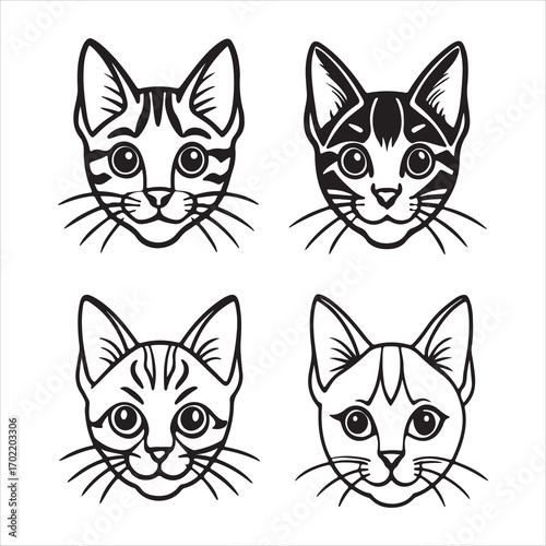 A Classic and Easygoing American Shorthair Cat, a Wholesome Feline with a Robust and Muscular Build and Distinctive Tabby Stripes