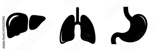Minimalist Black Silhouette Human Organs Icons: Liver, Lungs, and Stomach