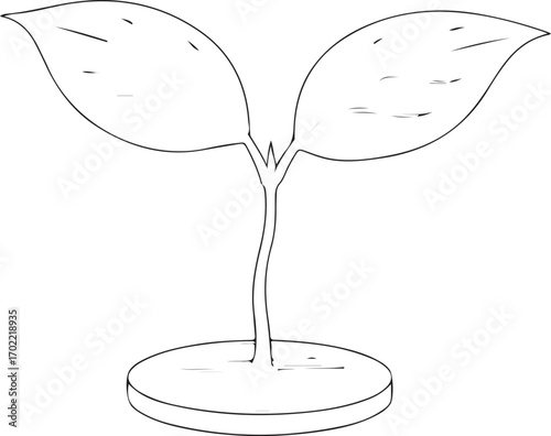 Simple Line Drawing Of A Sprout plant seedling