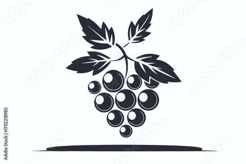 Grapevine Design with Leaves and Grapes on White Background Vineyard Icon