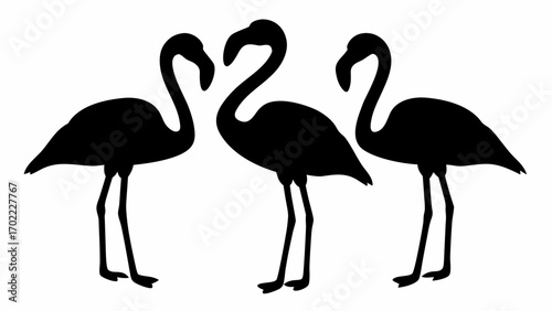 Three flamingo silhouettes standing side by side in a row on a white background in a simple illustration