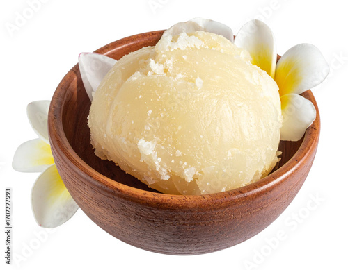 Luxury Beauty Ingredient – Shea Nuts with Golden Shea Butter