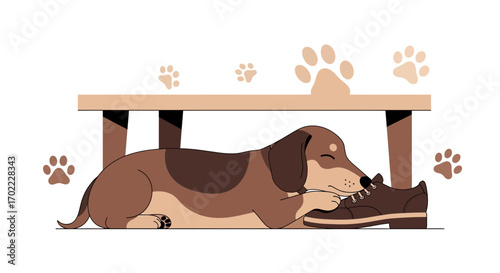 Affectionate Dachshund Dog Cuddling And Snuggling With A Brown Shoe Under A Table