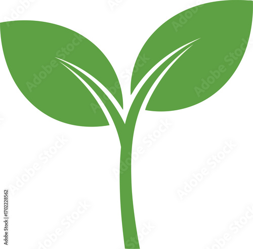 Green sprout symbolizing new life growth and nature vector