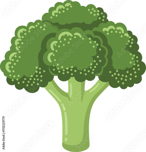 Fresh green broccoli florets isolated healthy food ingredient vector
