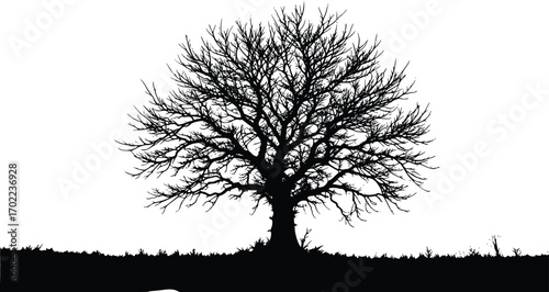 A black silhouette of a large, bare tree with a complex network of leafless branches, standing on a horizon line with a subtle grassy texture, against a white background.

