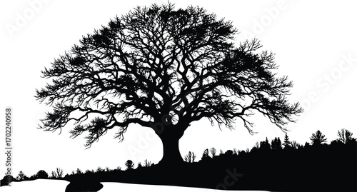 A striking black silhouette of a large, mature tree with a full canopy of intricate branches, standing on a gentle slope with a subtle line of distant trees and landscape elements, all against a clean