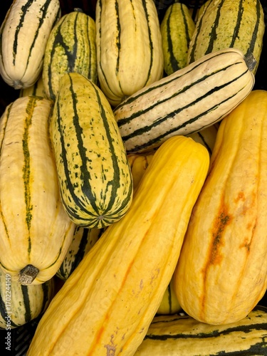 Flaschenkürbis - Herbst