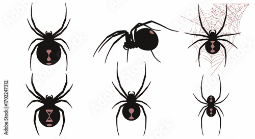 Black Widow Spider Silhouettes with Red Hourglass Markings