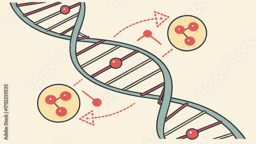 DNA Replication Process Illustrated with Molecules