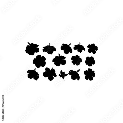 Colorful flowers floral pattern icon set silhouette vector elements design illustrations 