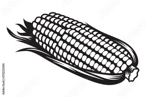 Monochrome Corn Cob with Husk and Kernels on White Background