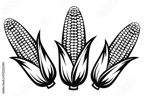 Monochrome Corn Cobs Vector, Black and White Maize, Isolated on White Background