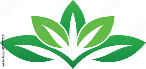 Aloe Vera plant with green leaves, a natural and eco-friendly illustration
