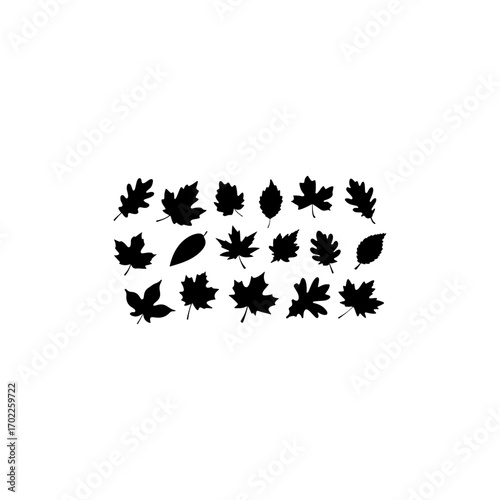 Set of autumn leaves silhouette vector on white background 