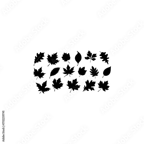 Set of autumn leaves silhouette vector on white background 