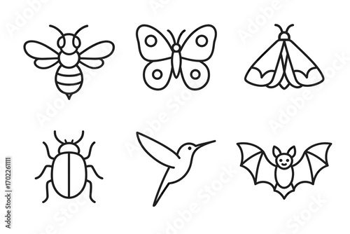 Set of simple outline insect and animal icons: bee, butterfly, moth, beetle, hummingbird, bat