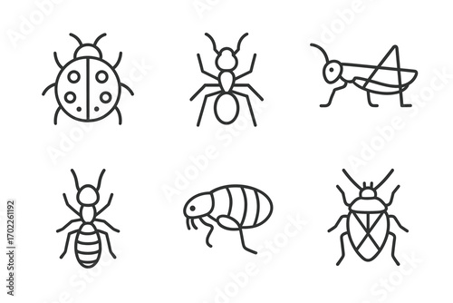 Insect outline icons: ladybug, ant, grasshopper, termite, flea, bug