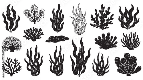 Minimalist Aquarium Seaweed Silhouettes Vector for Marine Themed Design Projects