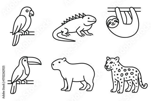 Outline illustrations of parrot, iguana, sloth, toucan, capybara, and leopard