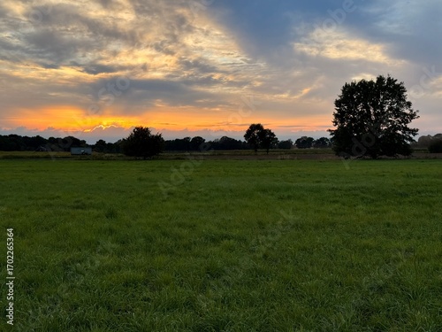 fantastic orange sunset in the green field, silhouettes of the trees on the horizon