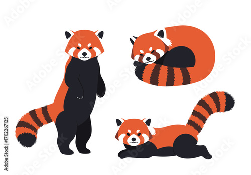 Adorable red panda poses expressing playful charm and gentle nature in diverse positions