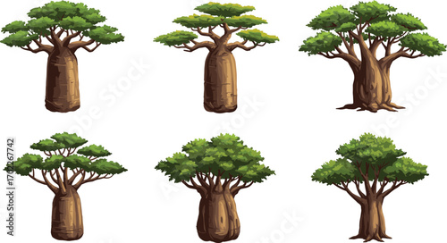 Collection of cartoon baobab trees with thick trunks, flat green canopies, and unique shapes on a white background.