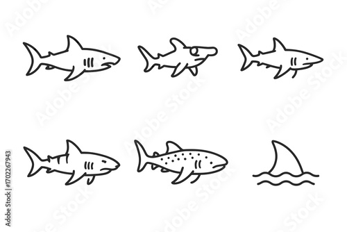 Collection of various shark types with fin illustration