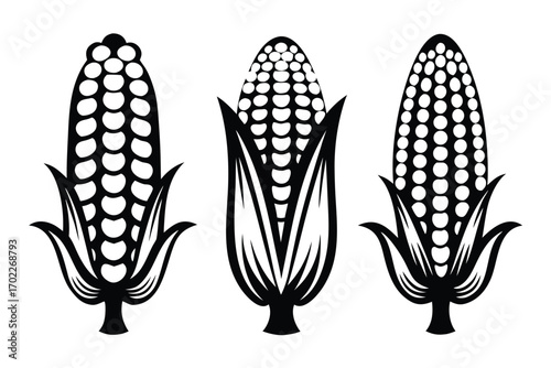 Set of Three Black Corn Cobs with Leaves on a White Background
