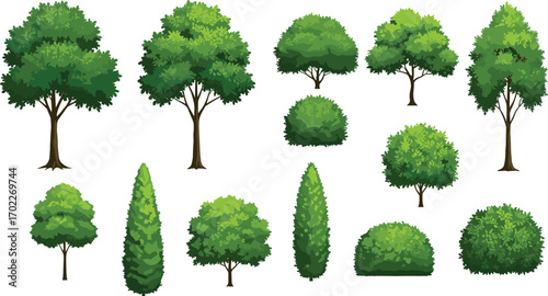 Collection of diverse tree and bush illustrations with vibrant green leaves, perfect for landscape design and nature scenes.