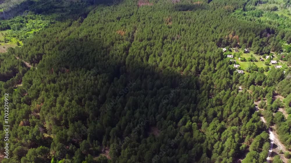Chernobyl Zone: Aerial footage showing forest reclaiming an abandoned ...