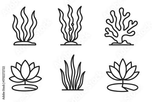 Set of outline aquatic plant icons including seaweed and lotus design