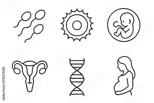 Pregnancy and reproductive symbols: fetus, dna, sperm, egg, uterus, pregnant woman
