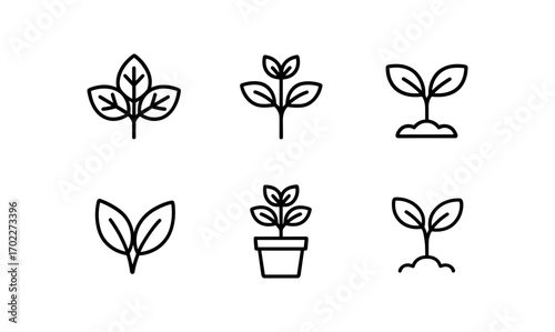 Minimalist plant icons set for nature and gardening themes