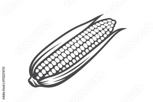 Stylized Corn Cob on White Background, Monochrome