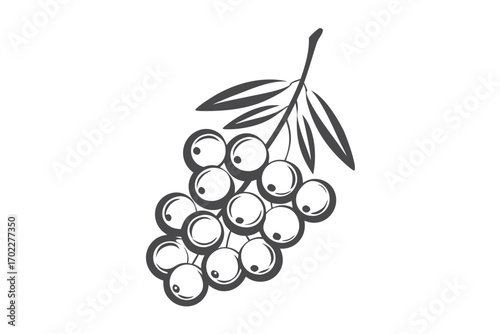 Stylized Grape Cluster Illustration, Design with White Background, Fruit Icon