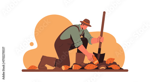 Farmer Harvesting Sweet Potatoes in Garden, Illustration of Agriculture and Fresh Produce