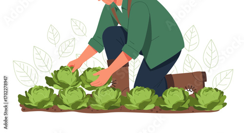 Farmer Inspecting Freshly Grown Cabbages in a Lush Garden on a Sunny Day