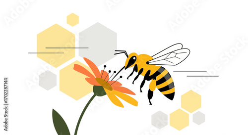 Illustration of a bee collecting pollen from a flower with honeycomb shapes in the background