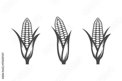 Three Corncob Icon Set, Flat Design Corn Isolated on White Background, Icon