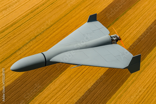 Russian drone Gerbera, Gerain, Shahid flies over farmlands