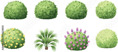 Illustration of different green bushes and colorful flowering shrubs with distinct shapes and foliage on a white background.