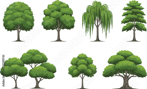 Illustration of diverse green trees including leafy, willow, and coniferous types in different shapes and sizes on white background.