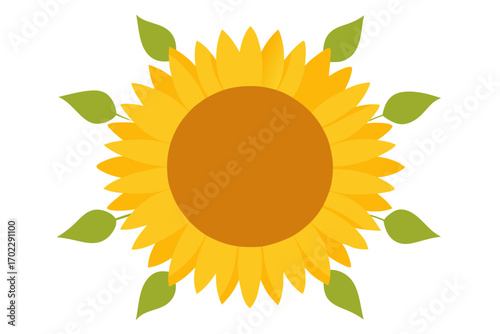 sunflower vector illustration
