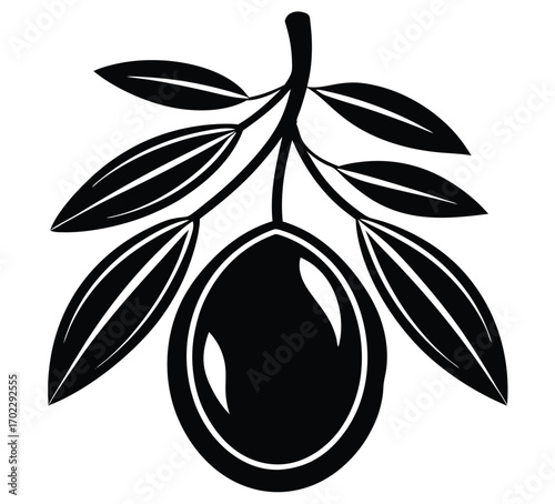 Vector illustration of an organic olive tree branch with leaves, fruit, and flowers