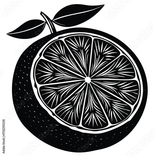 Fresh and healthy vector illustration of sliced lemon, lime, and other citrus fruits