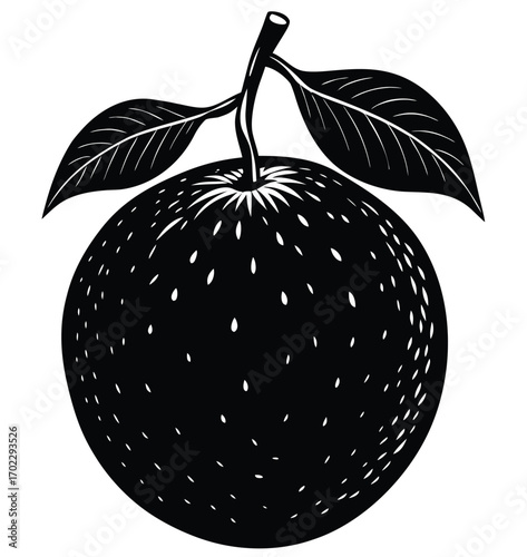 Vector illustration of a fresh ripe green apple fruit with a leaf