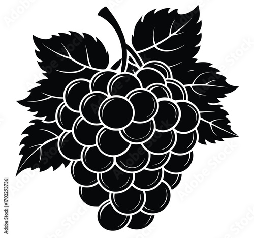Ripe grape bunch on a vine with a green leaf, a sweet vector illustration of a fresh fruit from nature