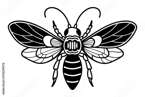black and white bee