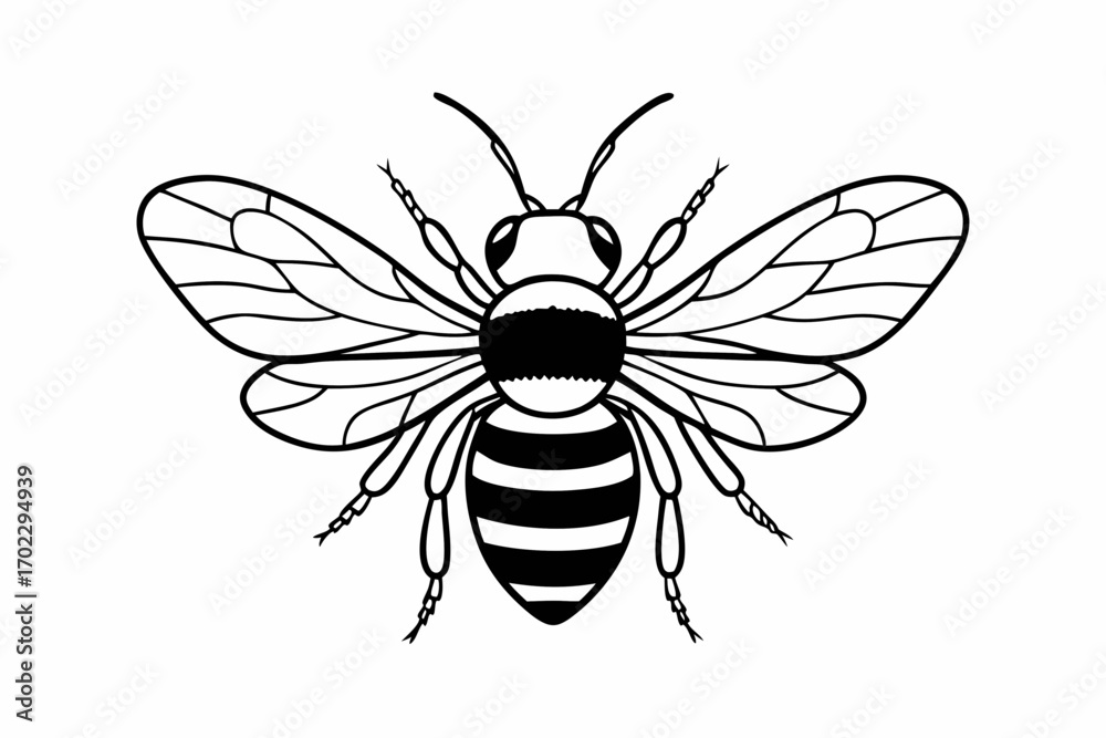 Fototapeta premium bee vector illustration